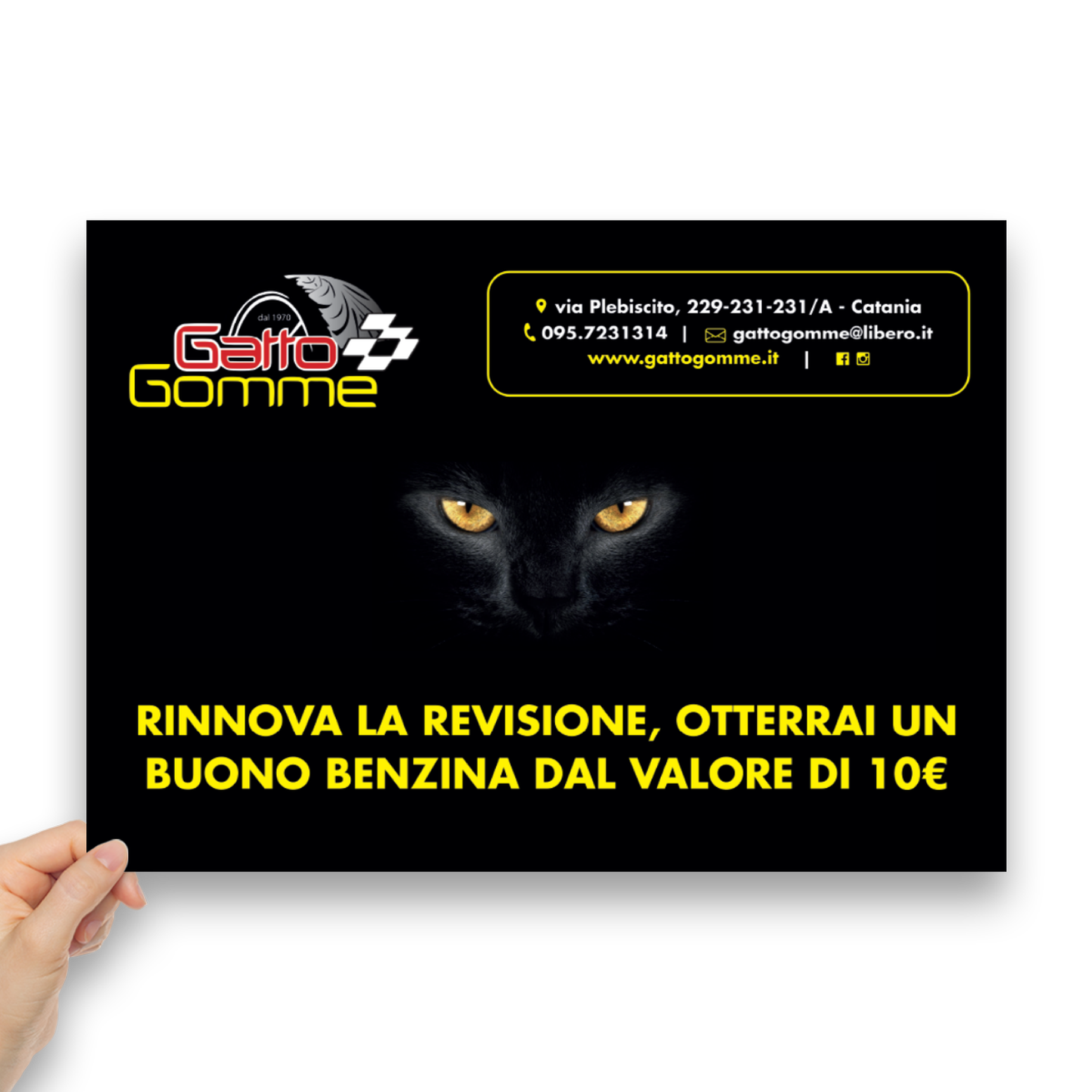 Gatto Gomme