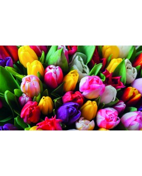 Fiori